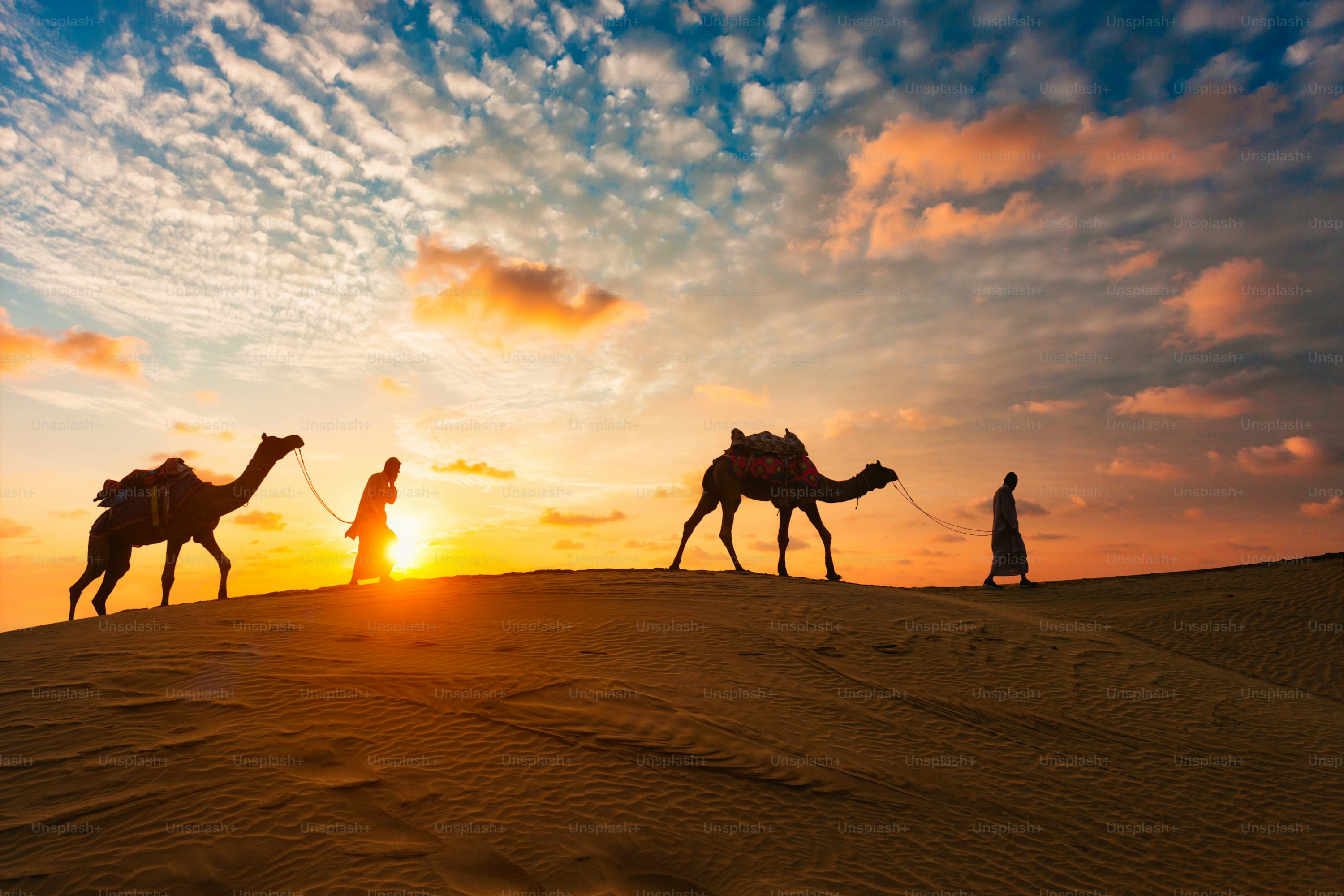 Desert Safari